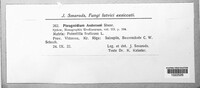 Image Associated With the Occurence
